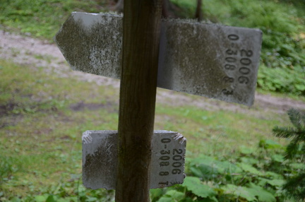 O308-ldp008-00-d02-190828-ED