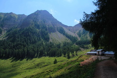 O308-Lagosalare-Clesera-2013-td78