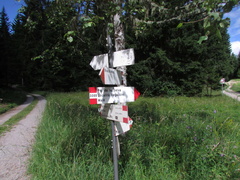 O308B-ldp001-00-d1-160803-CC