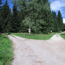O308B