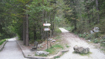 O309-ldp001-00-p01-161001-FB-0243