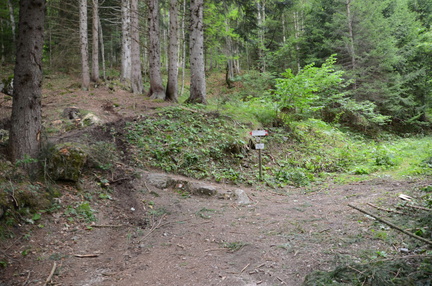 O309-ldp002-00-p01-190825-ED