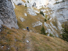 O310-161022-CR-1210601