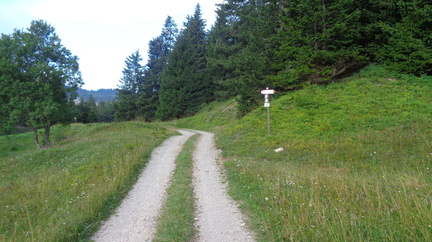 O313-ldp014-00-p01-210820-ED