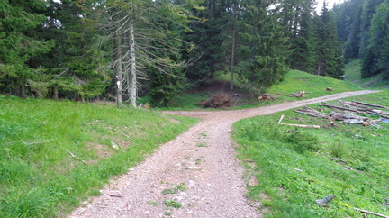 O313-ldp015-10-p01-210820-ED