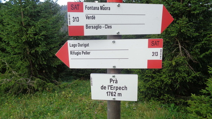 O313-ldp017-00-d01-210820-ED