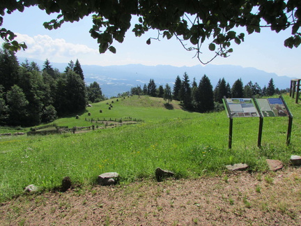 O313-02-da-Malga-Boiara-160701-CC