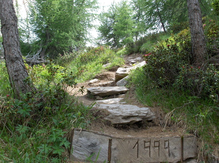 O313-060626-LB-0075