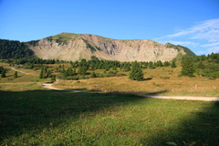 O313-MontePeller-2013-td-3945