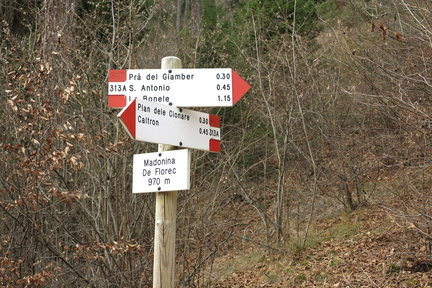 O313A-ldp006-00-d1-131218-LB