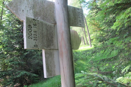 O313A-ldp016-00-d02-220618-EG