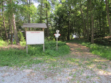 O313A-ldp017-00-p1-160629-CC