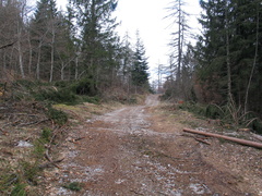 O313A-080423-LB-Sentiero-dei-Gropi-GVV