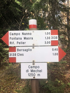 O313B-ldp004-00-d01-231119-ED