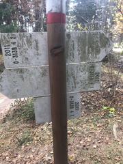 O313B-ldp004-00-d02-231119-ED