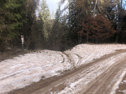 O313B-ldp005-00-p02-231119-ED