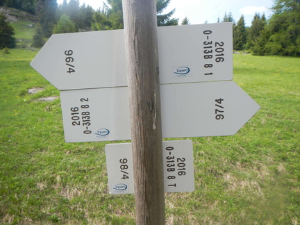 O313B-ldp008-00-d02-180528-AB