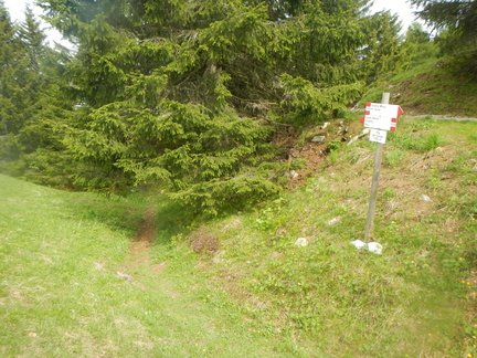 O313B-ldp008-00-p01-180528-AB