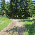 O313B-1363-160701-CC
