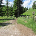 O313B-1365-160701-CC