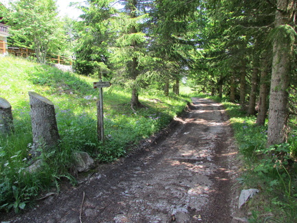 O313B-1366-160701-CC