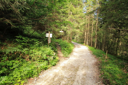 O314-ldp003-00-p03-160806-td1534