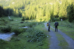 O314-ldp004-00-p02-TD-Ache-Forti