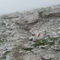 O316-160704-FB-9312