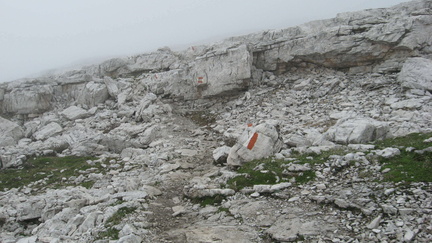 O316-160704-FB-9312