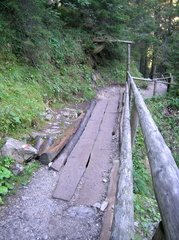 O317-81-080909-LB-7488