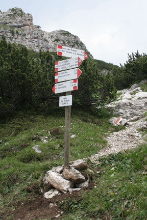 O318-ldp001-00-2009-td-1537 (85 visite) O318-ldp001-00-2009-td-1537