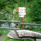 O319-ldp001-00-d1-MCF-180706