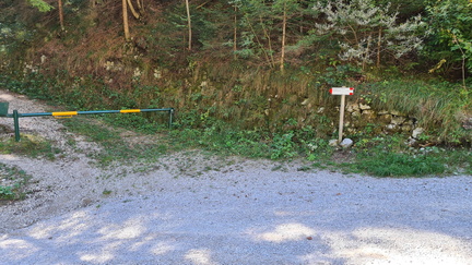 O319-ldp001-40-p01-20231007-CR