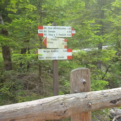 O319-ldp002-00-d1-MCF-180706