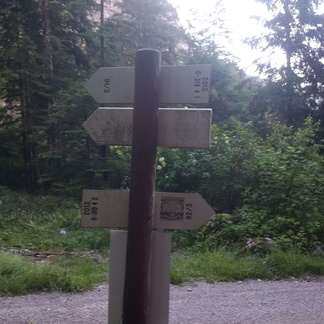 O319-ldp004-00-d2-MCF-160706