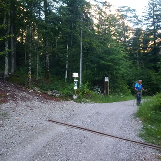 O319-ldp004-00-p1-MCF-160706