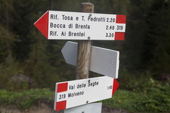 O319-ldp005-00-d01-160919-MP