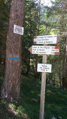 O324-ldp003-00-P2-170526-AT