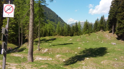 O324-170526-AT-151353