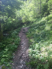 O325-ldp002-01-p02-MP-160725