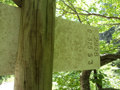 O325-ldp005-00-d02-160624