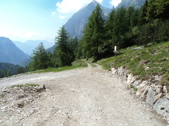 O325-ldp007-00-p01-160624