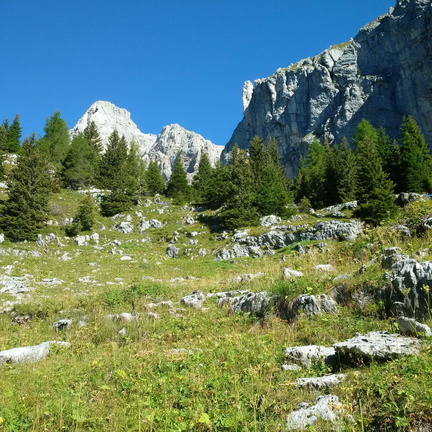 O326-5-verso-Malga-Ceda-Alta-160906-MCF (60 visite) O326-5-verso-Malga-Ceda-Alta-160906-MCF