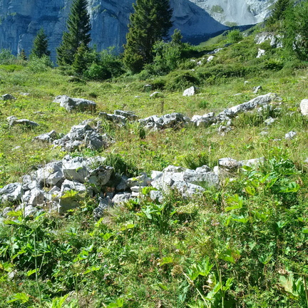 O326-6-ruderi-ex-Malga-Ceda-Alta-160906-MCF (58 visite) O326-6-ruderi-ex-Malga-Ceda-Alta-160906-MCF