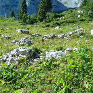 O326-6-ruderi-ex-Malga-Ceda-Alta-160906-MCF
