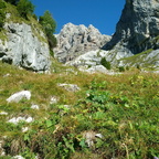 O326-7-sopra-Malga-Ceda-Alta-160906-MCF