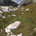 O326-Sasso-Tosa-d01-160919-MP