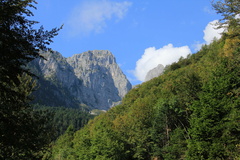 O326-q1250-20160911-td