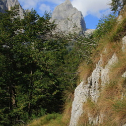 sentiero