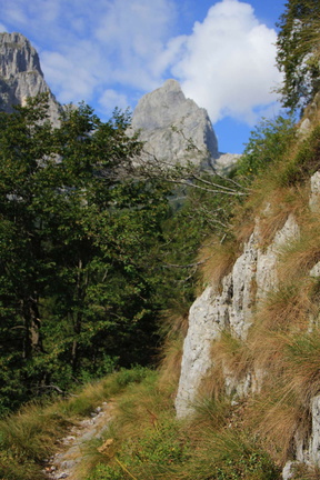 O326-q1300-MG-5050 (58 visite) O326-q1300-MG-5050